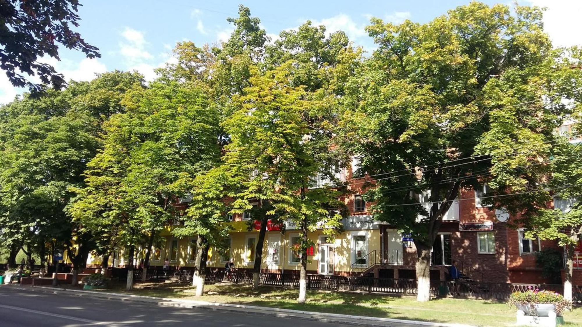 Затишна Квартира На Проспекті Соборний 61 Oleksandriia Εξωτερικό φωτογραφία
